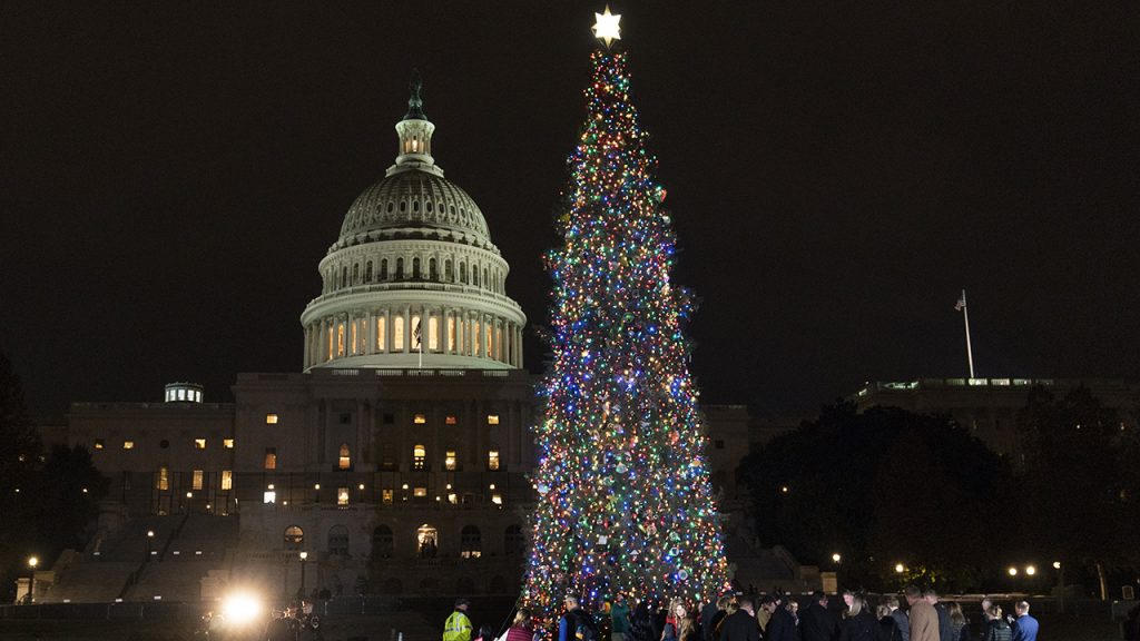 2021 ලෝකයේ ලොකුම නත්තල් ගස…. Srilankan Times