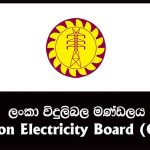Ceylon-Electricity-Board-Vacancies